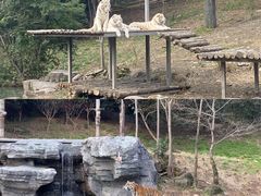 -宁波野生动物园