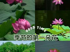 -圆明园遗址公园