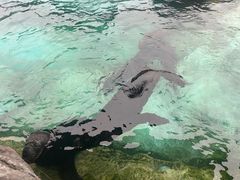 -珠海长隆海洋王国
