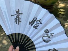 -西双版纳原始森林公园