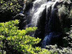 -永泰中国云顶
