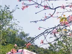 -小南山公园