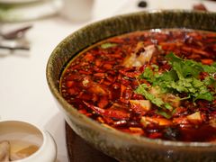 -成都保利公园皇冠假日酒店(熊猫基地店)