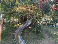 -金宝幼儿园(通州校区)