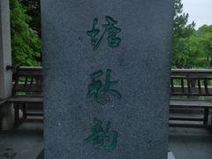 -长广溪湿地公园