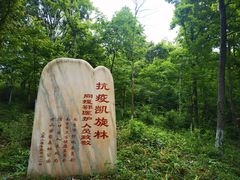 -老山国家森林公园