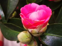 -三旗百汇商品城