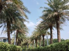 -中国移动南方基地