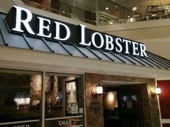 -RED LOBSTER(多伦多DT店)