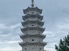 -嘉荫恐龙国家地质公园