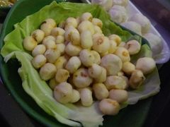 小马蹄-润园四季椰子鸡火锅(海上世界店)