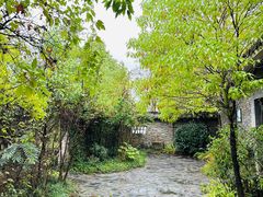 -杏花村文化旅游区