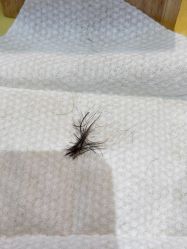 -盈月阁母婴护理中心·月子中心·月嫂育儿嫂
