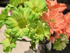 -半秋山西餐厅(巴南万达广场店)