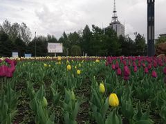 -长春公园(普阳街道)