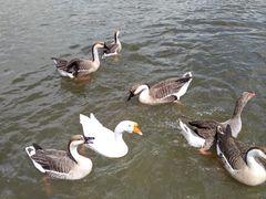 -鄂尔多斯野生动物园