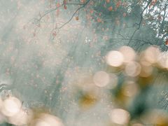 -楠溪江风景名胜区