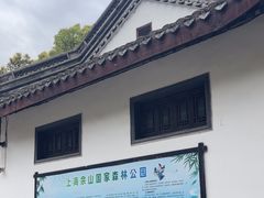 -上海佘山国家森林公园天马山园