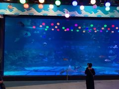 -烟台海昌鲸鲨海洋公园