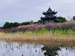 -上海海湾国家森林公园