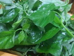 -阿汉名材老鸡汤饭店(金鸡岭店)