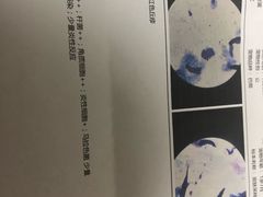 -A猫a狗全科·犬猫异宠·芥西宠物医院(南开总院)