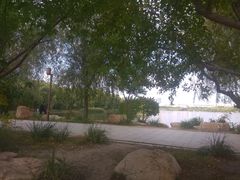 -长春市南湖公园