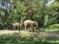 -北京野生动物园
