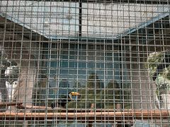 -鄂尔多斯野生动物园