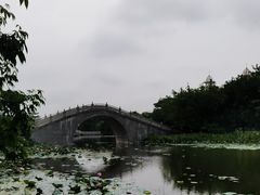 -映月湖公园