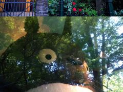 -三鹰之森吉卜力美术馆