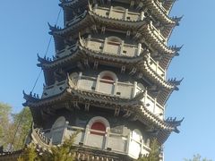-黄椅山火山森林公园