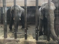 -石家庄市动物园