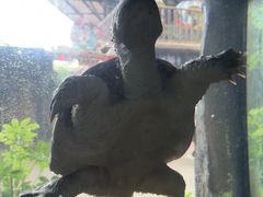 -长鹿旅游休博园