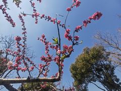 -圩墩遗址公园