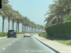 -亚特兰蒂斯水世界冒险乐园