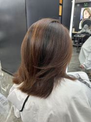 -藤野造型