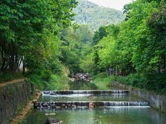 -广州白江湖森林公园