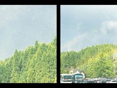 -武陵山森林公园