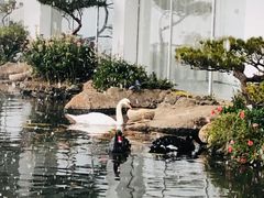 -罗红摄影艺术馆