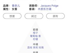 -Chanel香奈儿专柜代买(福州大洋店)