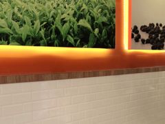 -CoCo都可(大华二店)