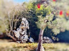 -天津水上公园
