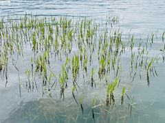 -丽江泸沽湖景区