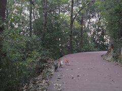 -敬亭山风景名胜区