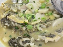 小黄鱼-莆鑫海鲜城(浏河店)