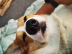 -FAELING PETS美天灵宠物(富力广场店)