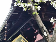 -寒山寺