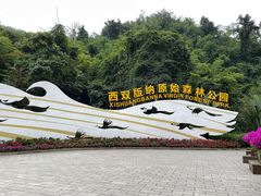 -西双版纳原始森林公园