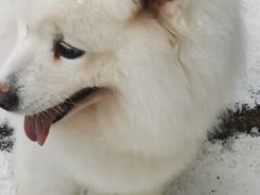 -九峰山
